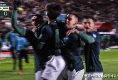 虎扑平台-爆冷！玻(bō)利维亚1-0击敗(bài)巴西队，获得2026世界杯洲际附加赛資(zī)格
