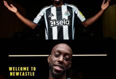 虎扑下载-双输买卖？伊萨克1.45亿加盟利物浦无战功，纽卡买入几人也很一般