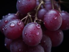 虎扑首页-西班牙人为什么要在新年到来时吃12颗葡萄？