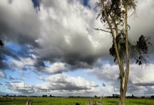 虎扑-星空皇马备战瓦伦西亚迎考