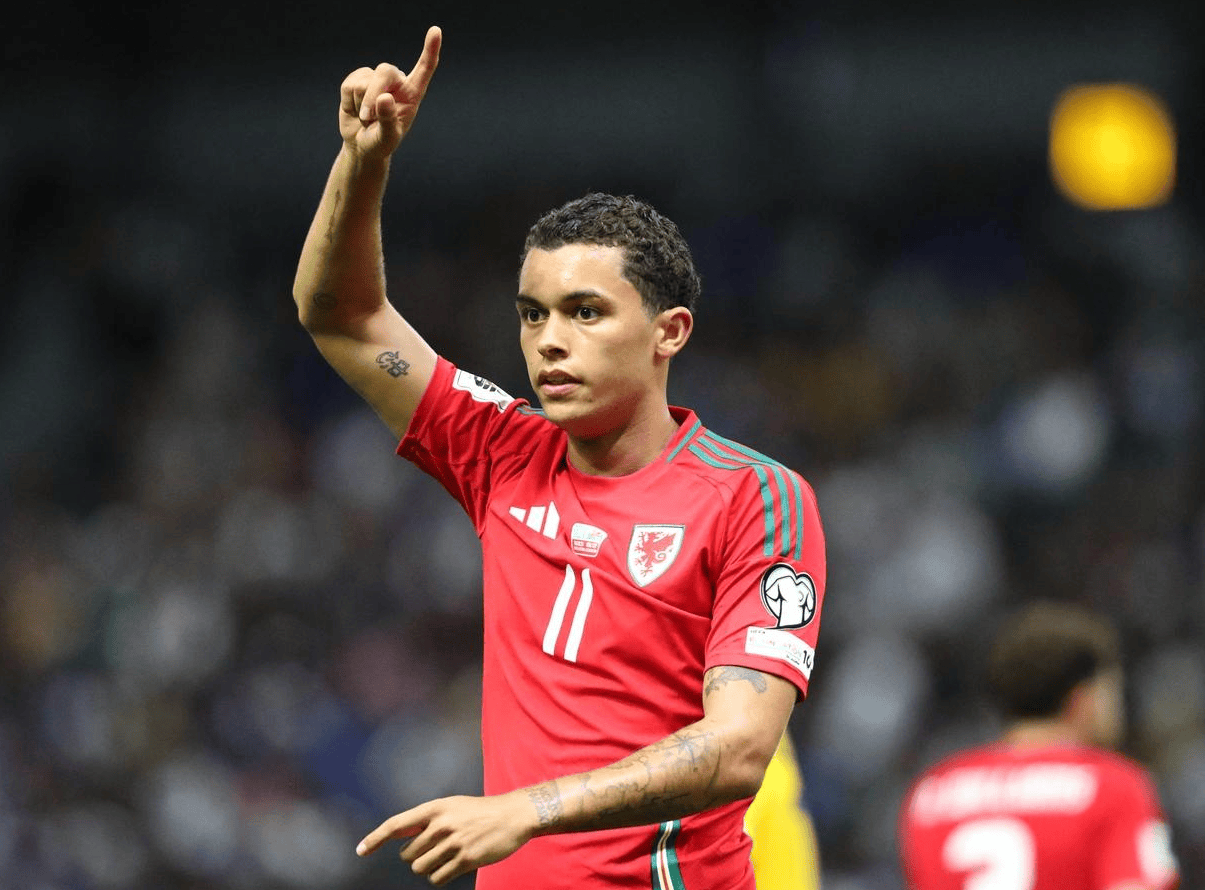 虎扑平台-世预赛:1-0,33嵗(suì)伯(bó)恩茅斯旧将制胜,威尔士登顶+甩比利时6分