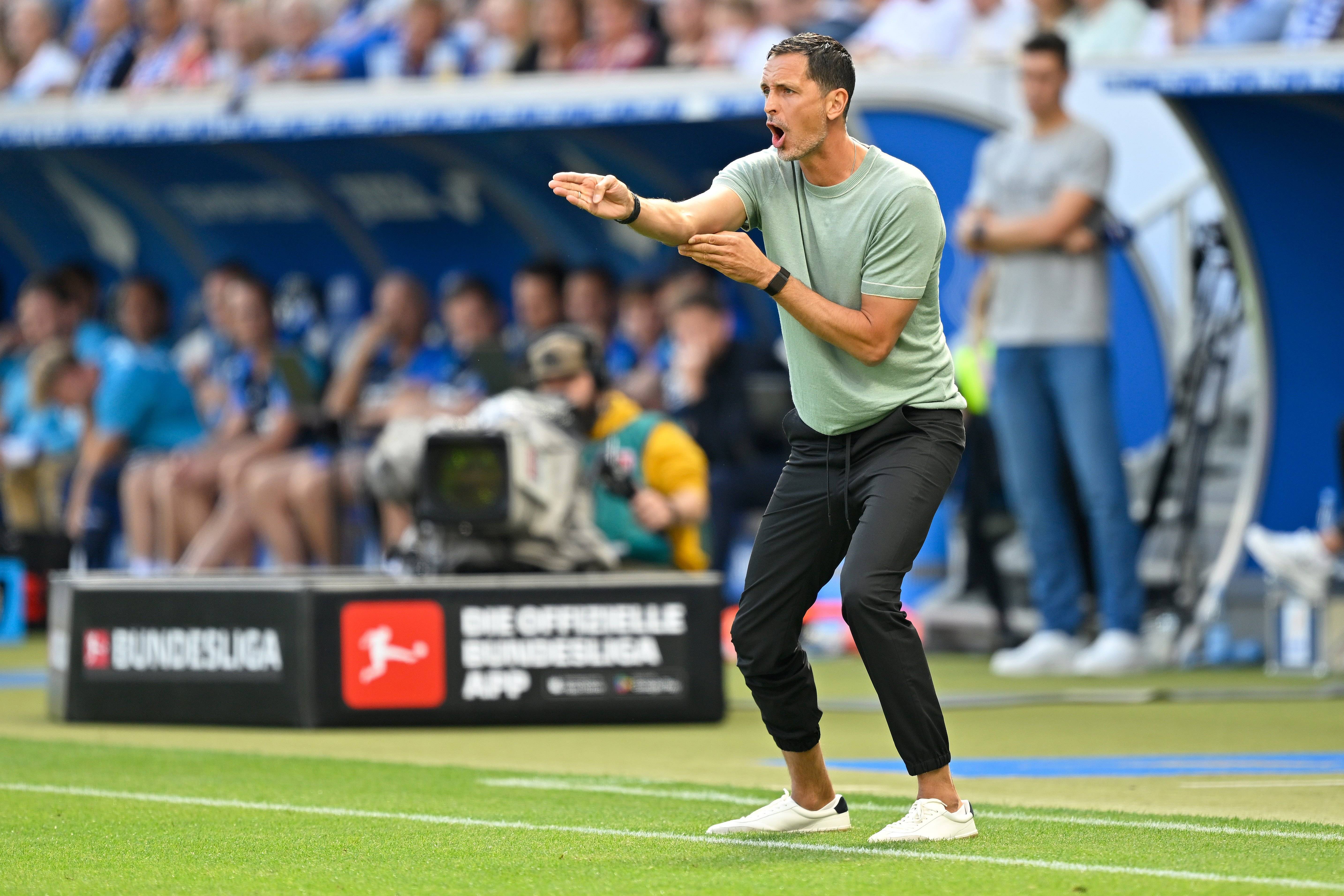 虎扑下载-（体育）足球——德甲：法蘭(lán)克福胜霍芬海姆