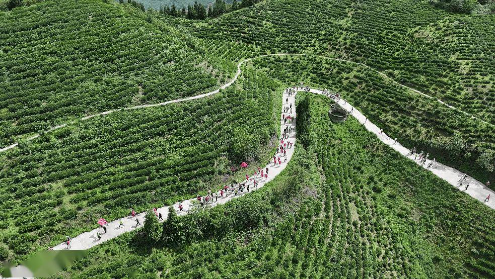 虎扑BBS-安顺“村字号”！“村走”“村超”“村BA”，超燃又激情！