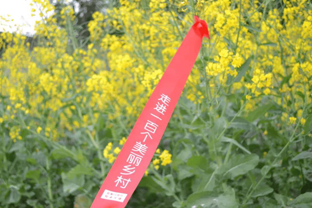 虎扑BBS-安顺“村字号”！“村走”“村超”“村BA”，超燃又激情！